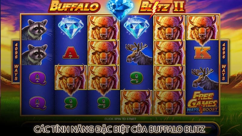 Các tính năng đặc biệt của Buffalo Blitz