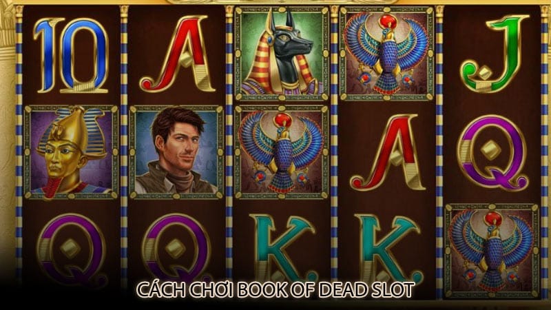 Cách chơi Book of Dead slot