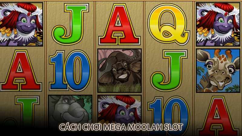 Cách chơi Mega Moolah slot