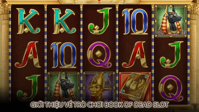 Giới thiệu về trò chơi Book of Dead slot