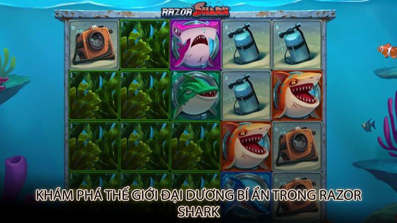 Khám phá thế giới đại dương bí ẩn trong Razor Shark