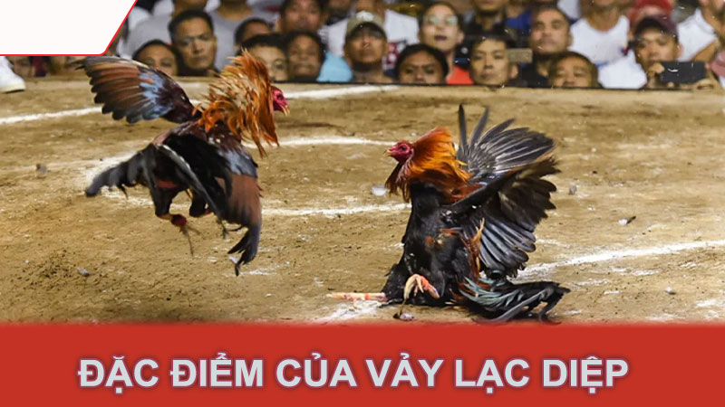 Đặc điểm của vảy lạc diệp