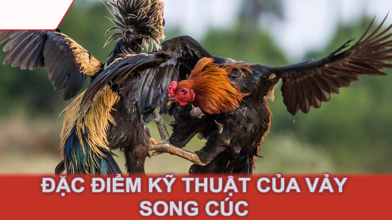 Đặc điểm kỹ thuật của vảy song cúc