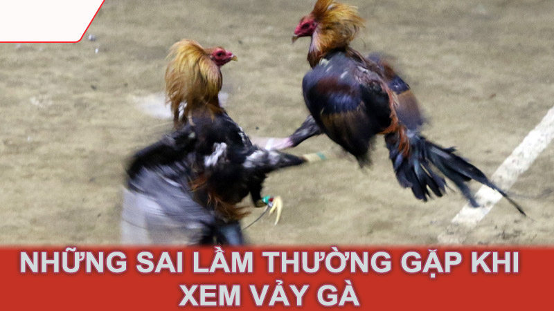 Những sai lầm thường gặp khi xem vảy gà